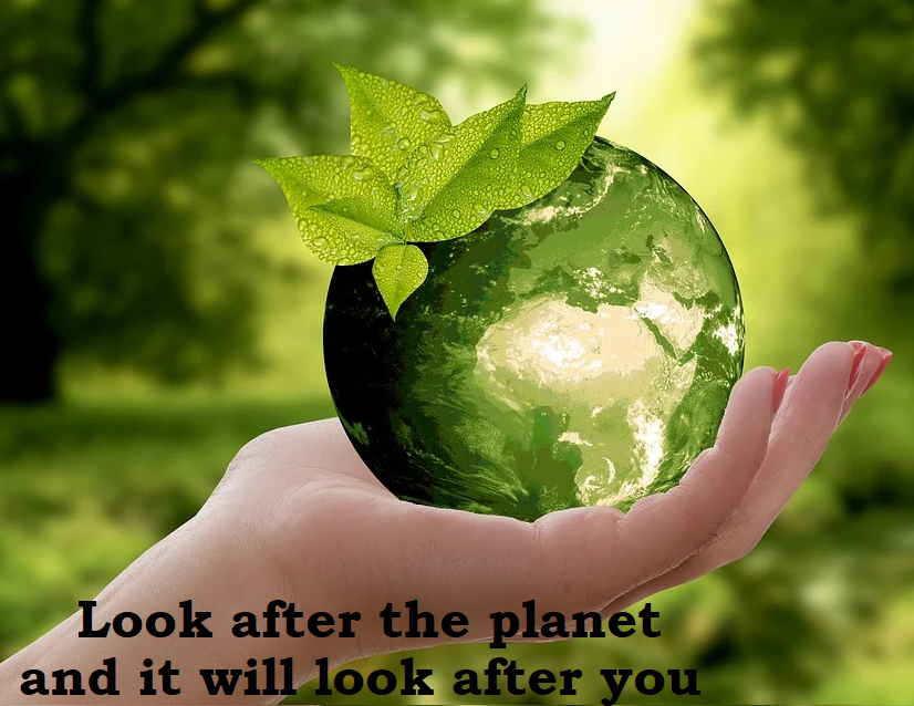 transportation and logistics industry