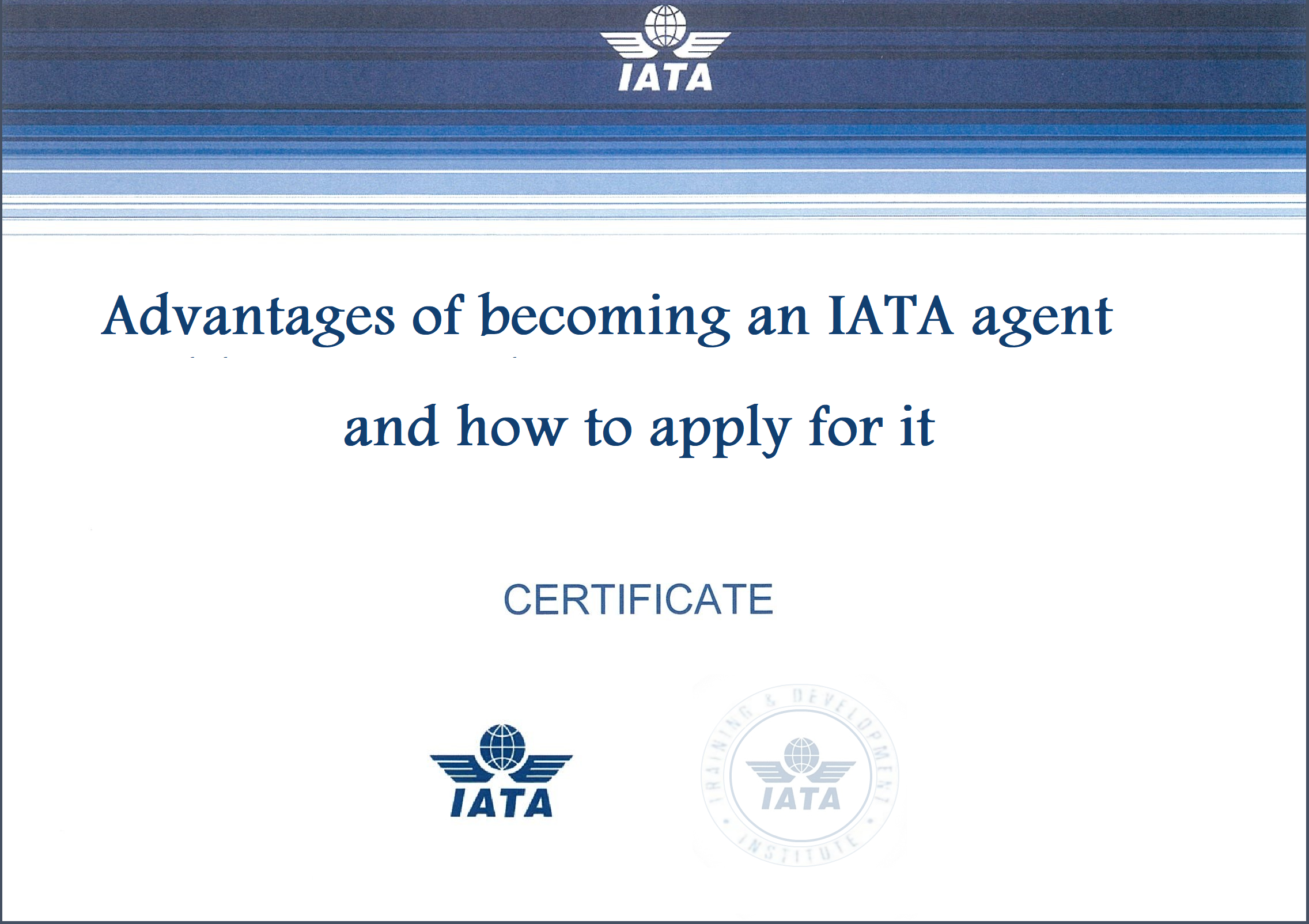 Independent freight forwarders Independent freight forwarders