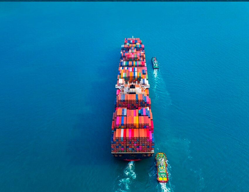 Independent Freight Forwarder