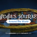 The Global Cocoa Trade: Key Origins, Ports and Freight Routes
